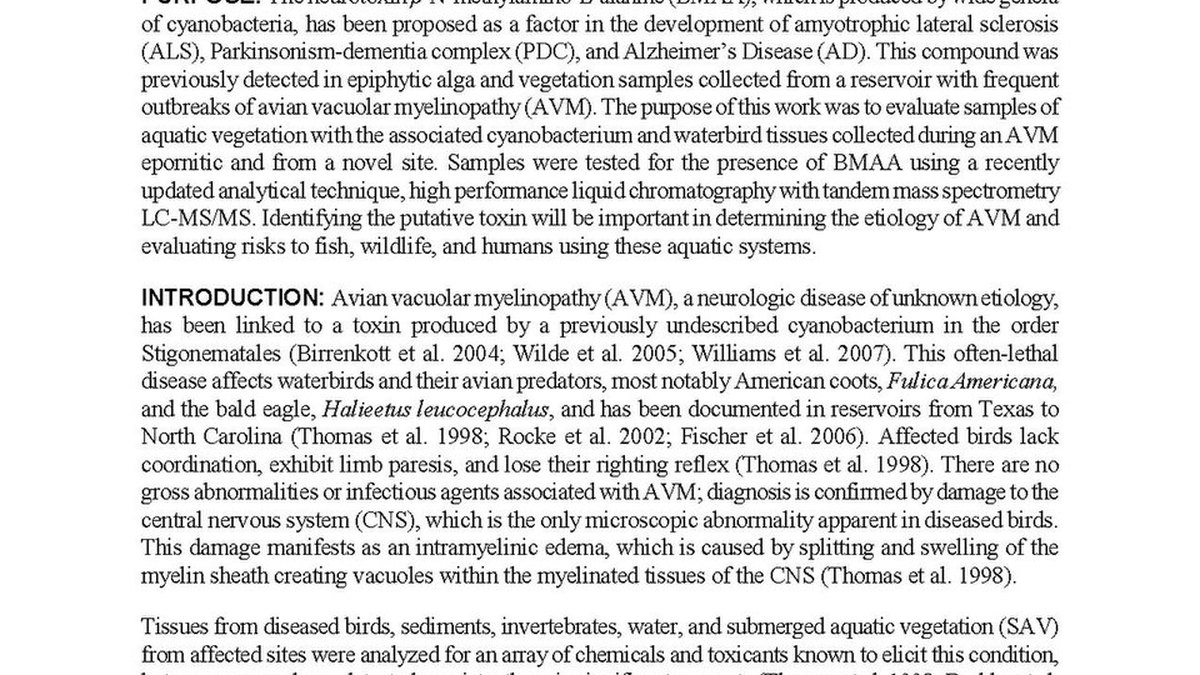 A lyophilised powder in a vial — the dry, storage-stable end product of suspension freeze-drying; a Suspendry feature by Panacea Bio Chem and Bogdan Dicoias